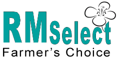 rm-select logo